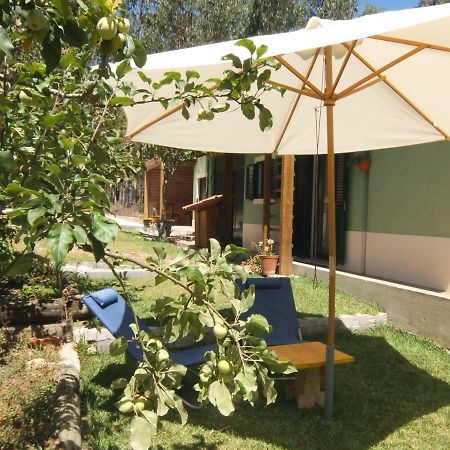 Ecobosque Villa Nadadouro Ngoại thất bức ảnh