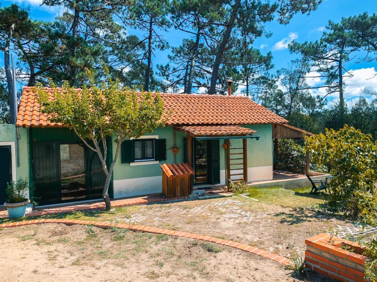 Ecobosque Villa Nadadouro Ngoại thất bức ảnh