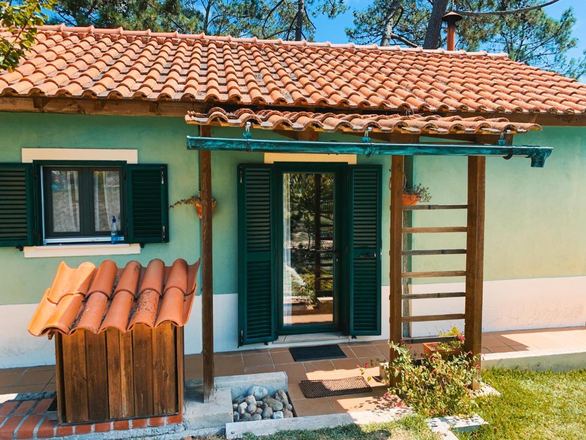 Ecobosque Villa Nadadouro Ngoại thất bức ảnh