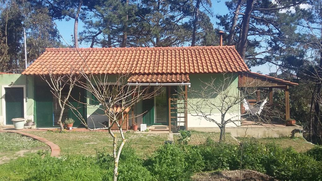 Ecobosque Villa Nadadouro Ngoại thất bức ảnh
